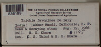 Image Associated With the Occurence
